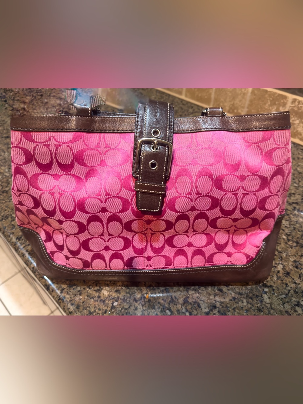 Coach Authentic Y2K Hamptons Shoulder Tote Bag